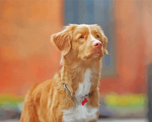 Aesthetic Toller Pet Paint By Number