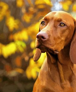 Aesthetic Vizsla paint by numbers