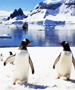 Antarctica Penguins Paint By Number