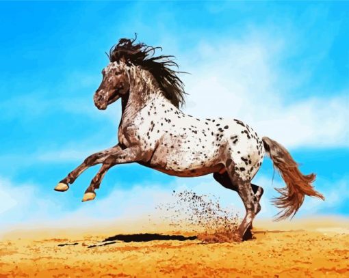 Appaloosa Animal Paint By Number