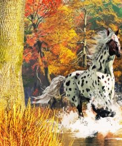 Appaloosa Horse Running In River Paint By Number