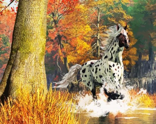 Appaloosa Horse Running In River Paint By Number