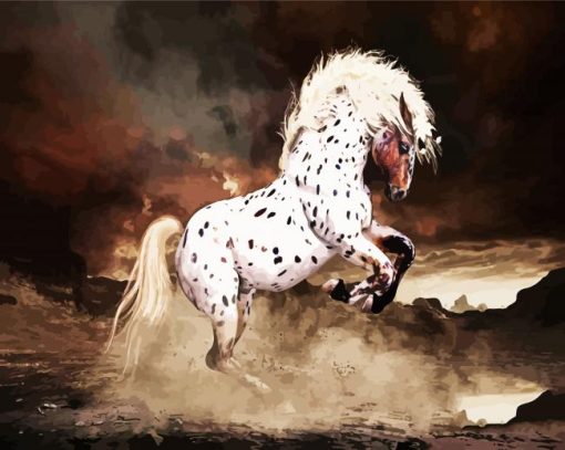 Appaloosa Horse Art Paint By Number