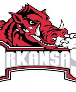 Arkansas Razorback Logo Paint By Number