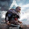 Assassins Creed Valhala Paint By Number