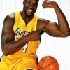 Basketball Player Shaquille ONeal paint by numbers