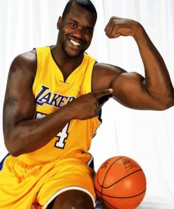 Basketball Player Shaquille ONeal paint by numbers