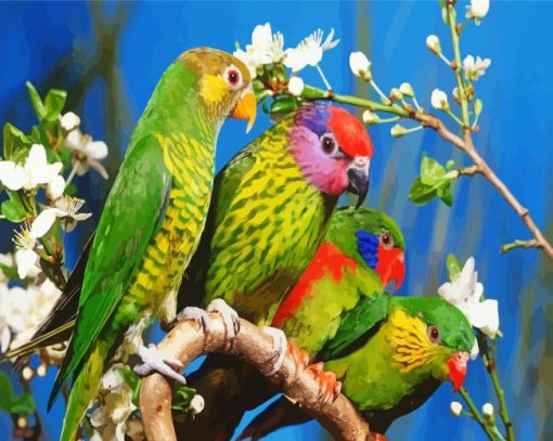 Beautiful Birds paint by numbers