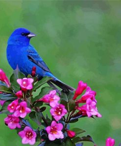 Beautiful Blue Bird and Flowers paint by numbers