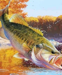 Largemouth Bass Fish Paint By Number