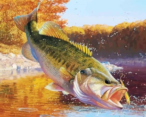 Largemouth Bass Fish Paint By Number