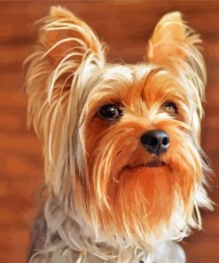 Beige and Brown Yorkshire Terrier paint by numbers