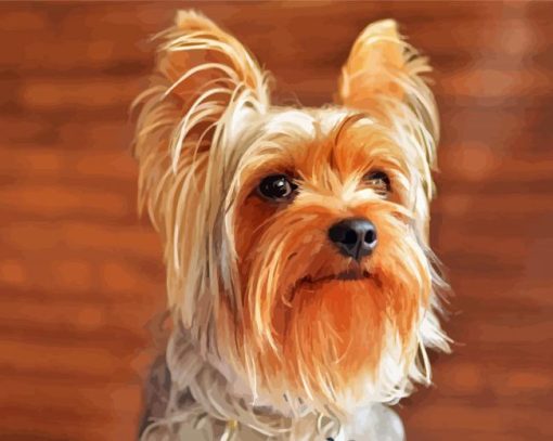 Beige and Brown Yorkshire Terrier paint by numbers