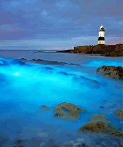Bioluminescent Lighthouse Anglesey paint by numbers