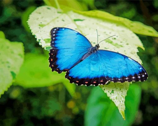 Blue Morpho Butterfly Paint By Number