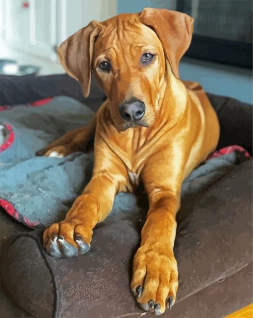 Brown Ridgeback Puppy Paint By Number