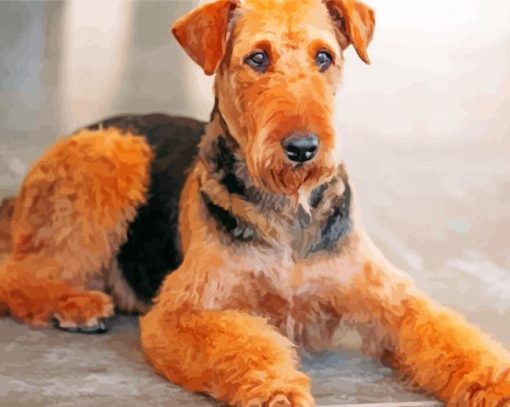 Brown Airedale Terrier Paint By Number