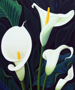 Calla Lily Plants Paint By Number