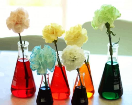 Carnations In Glass Paint By Number