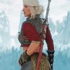 Ciri Witcher paint by numbers
