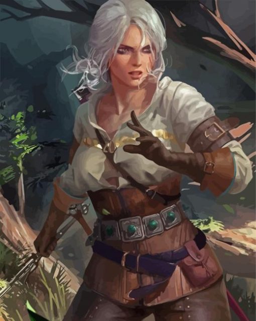 Ciri Witcher Illustration paint by numbers