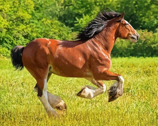 Clydesdale Horse Running Paint By Number
