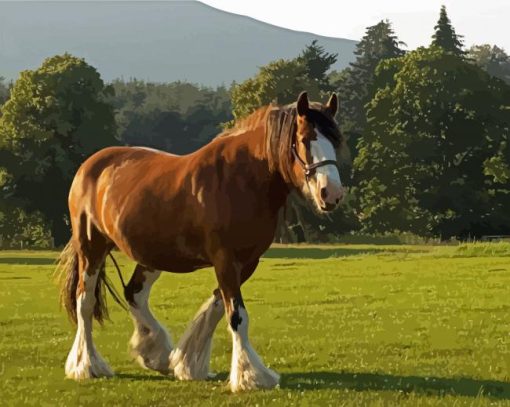 Clydesdale In Field Paint By Number