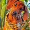 Curious Ridgeback Puppy Paint By Number