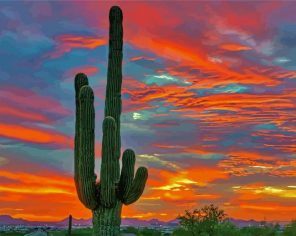 Desert Cactus Sunset paint by numbers