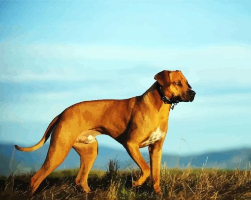 Dog Rhodesian Ridgeback paint by numbers