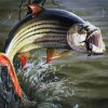 Fishing Tigerfish Paint By Number