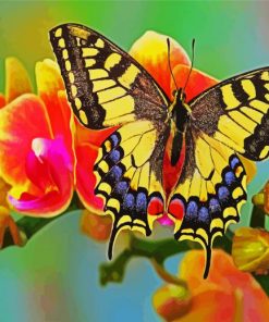 Flower Swallowtail paint by numbers