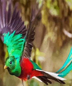 Flying Quetzal Bird paint by numbers
