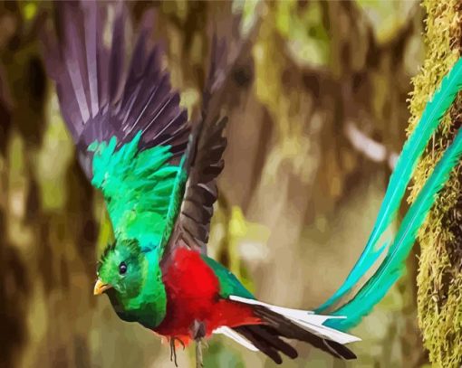 Flying Quetzal Bird paint by numbers