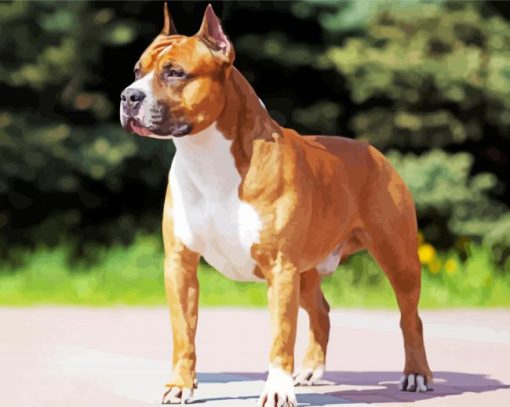 Golden American Staffordshire Terrier Dog Animal Paint By Number