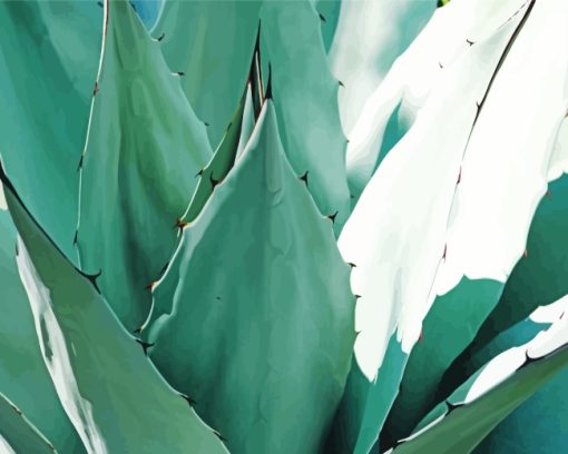 Green Agave With Thorns Paint By Number