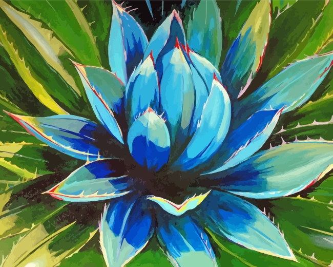 Blue Agave Plant Paint By Number