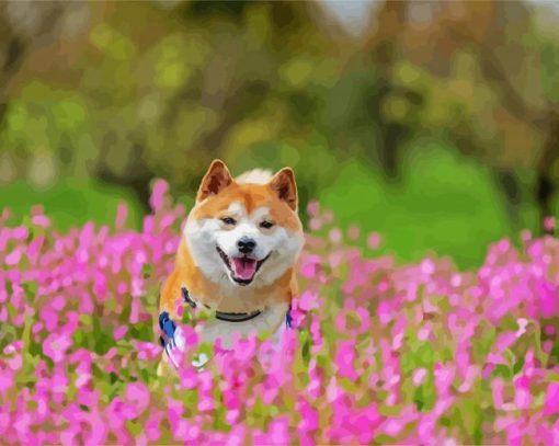 Happy Shiba Inu paint by numbers