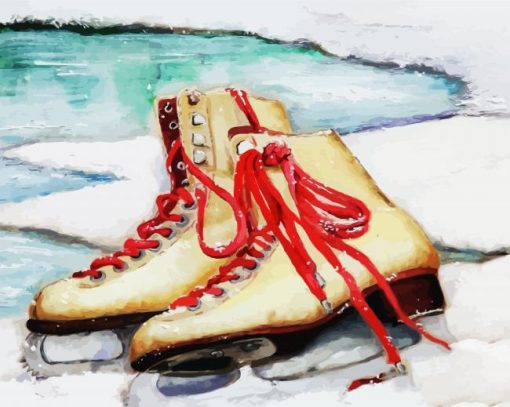 Ice Skates paint by numbers