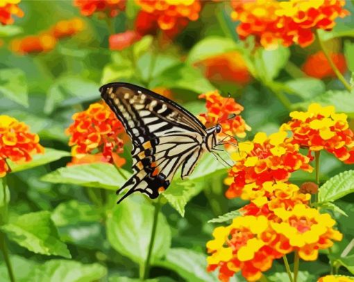 Lantana and Butterfly paint by numbers