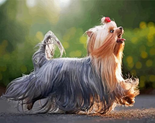 Long Hair Yorkshire Terrier paint by numbers