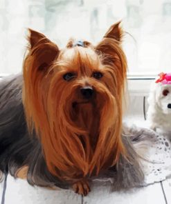 Long Hair Yorkshire Terrier and Dog Doll paint by numbers