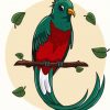 Long Tailed Quetzal Art Paint By Number