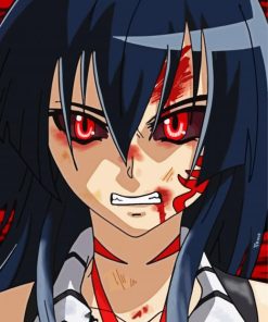 Mad Akame Ga Kill Paint By Number