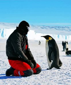 Man And Penguins In Antarctica Paint By Number