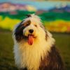 Old English Sheepdog paint by numbers