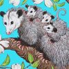 Opossum Family Art paint by numbers