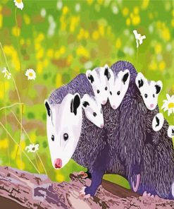 Opossum Family paint by numbers