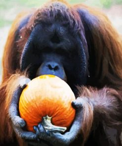 Orangutan Eating Pumpkins Paint By Number