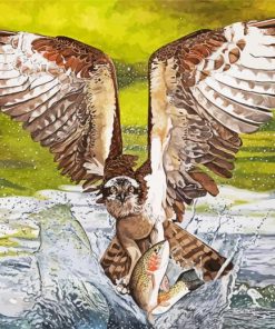 Osprey Bird Hunting paint by numbers